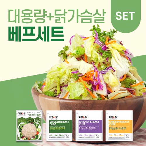 대용량 샐러드 + 닭가슴살 베프 세트